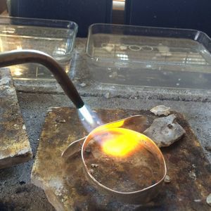 Meet your Posher, Holly